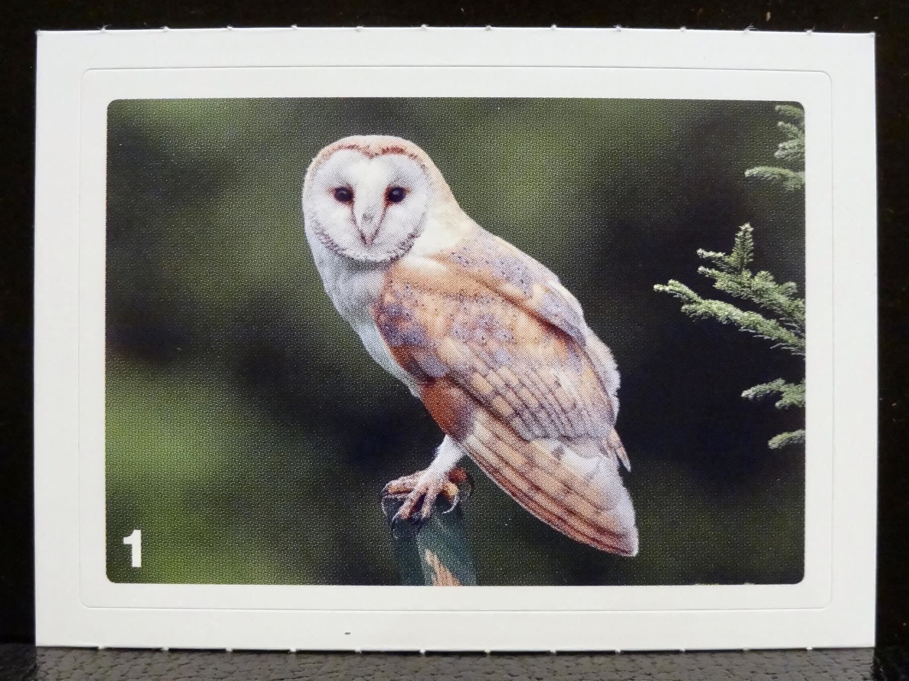 Migros Carte collezionabili: MIGROS MANIA Nature Detectives Nr. 1 – Usato da Kerzers venduto da zimmergruen