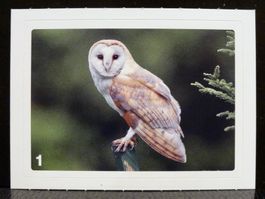 MIGROS MANIA Nature Detectives Nr. 1