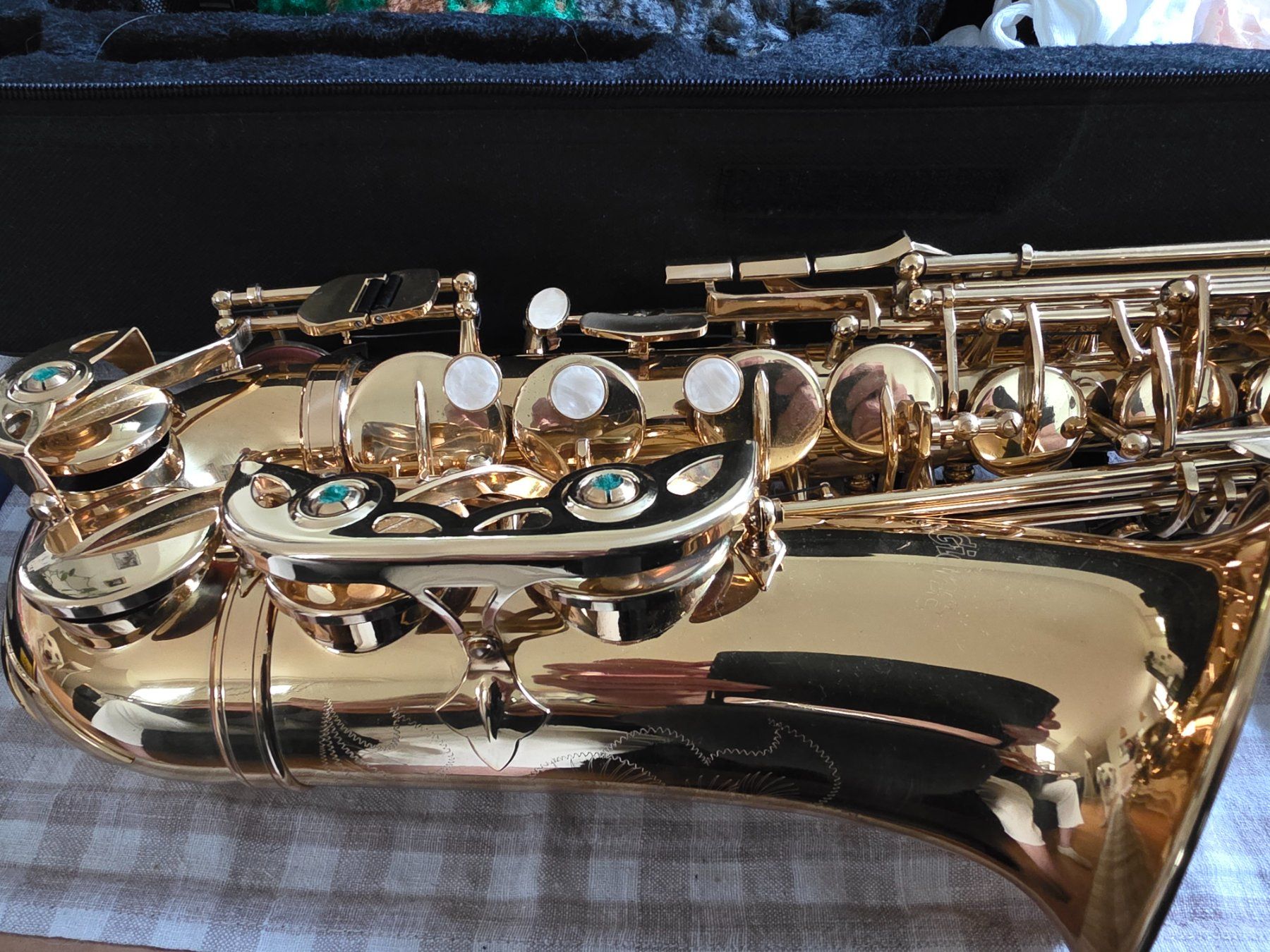 C.Giant Strumenti musicali: Altsaxophon von C. Giant mit Koffer – Usato da Winterthur venduto da Marcello66 1