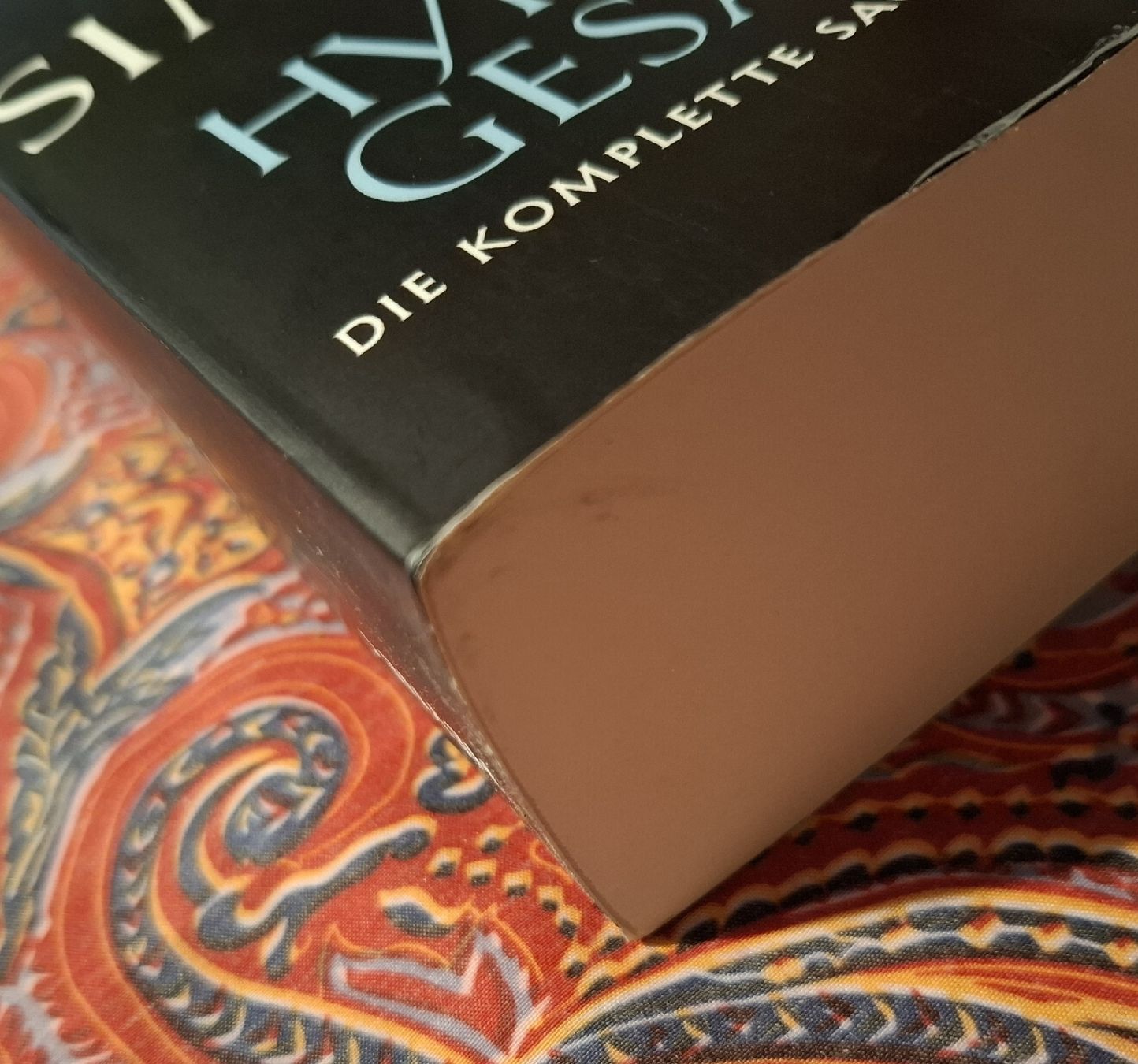 Libri: Dan Simmons: Die Hyperion-Gesänge (kompl. Saga) – Usato da Zürich venduto da apf_b8zl 3