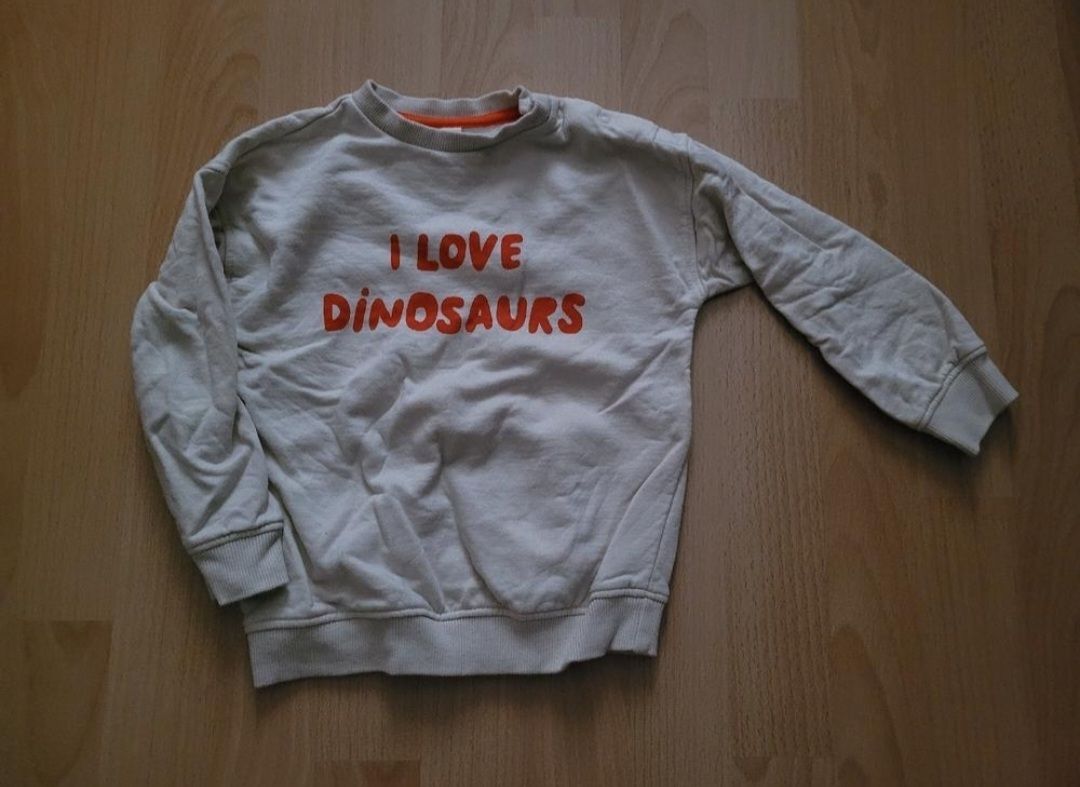 Pulls et sweat-shirts: Pullover Dinosaurier gr. 92 – D'occasion à Inwil par Flower2325