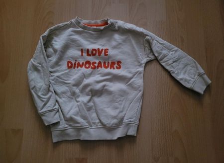 Pullover Dinosaurier gr. 92