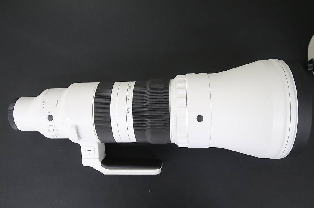 Sigma 300-600mm F4 DG OS / Sony E-Mount / 4990.- (Gebraucht) in Wikon ...