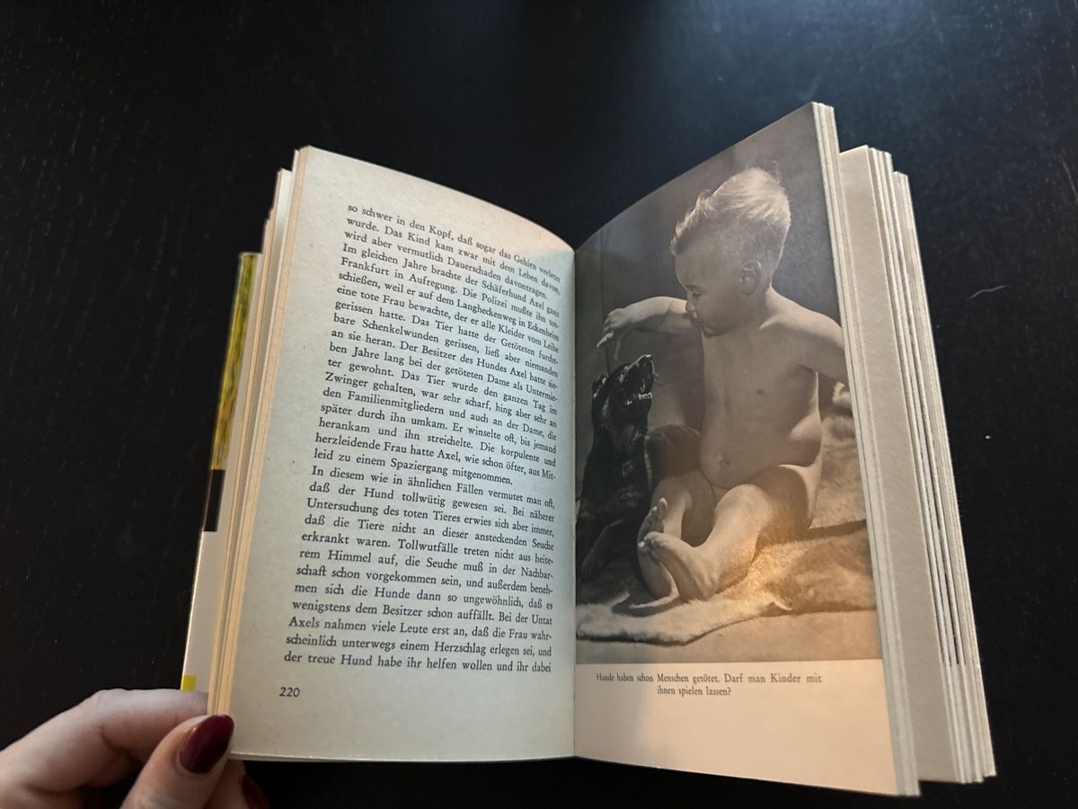 Libri: 20 Tiere und 1 Mensch – Usato da Erstfeld venduto da Uhu1980 2