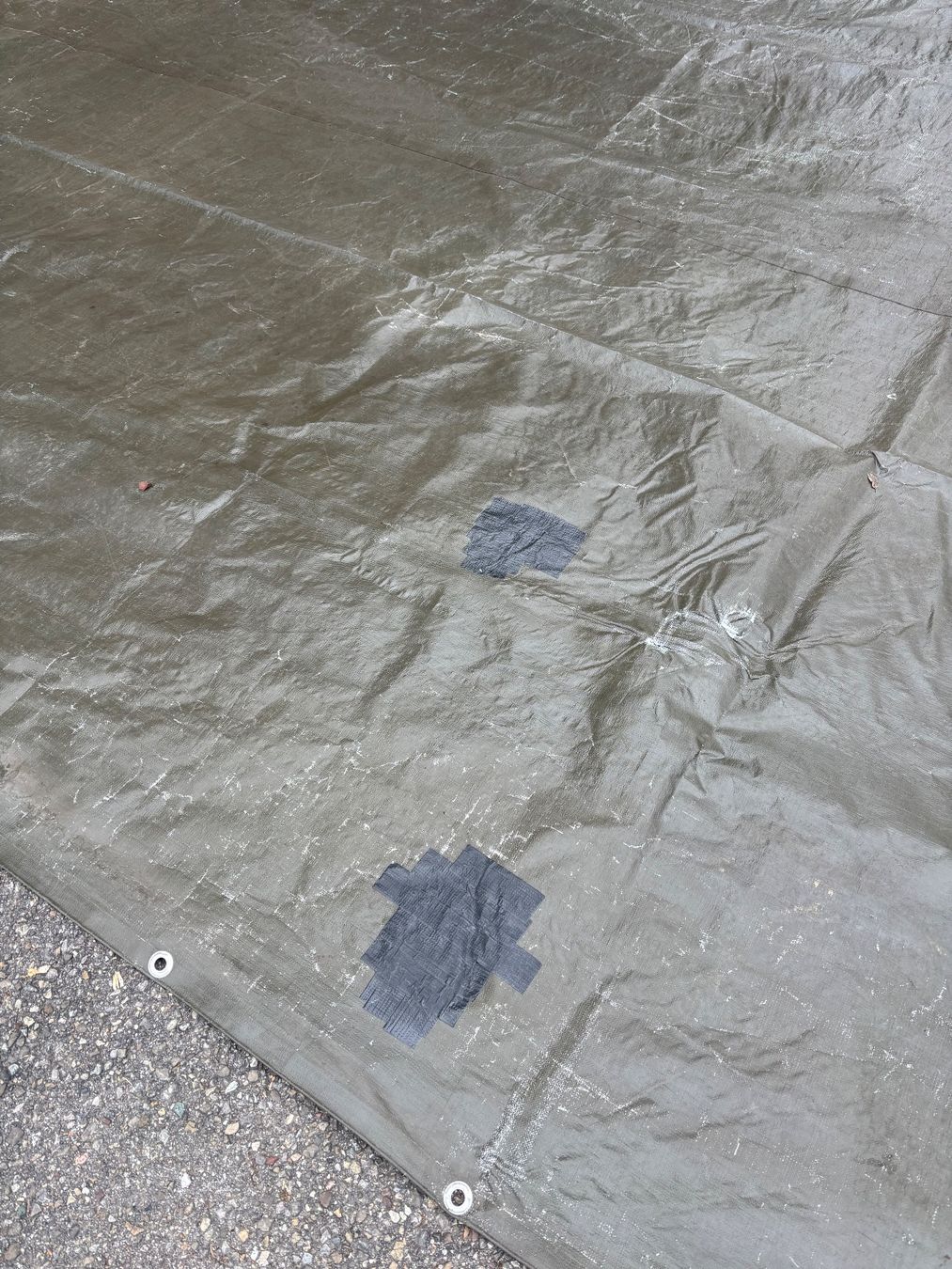Altro: Blache Olive Grün – Usato da Sennhof venduto da joel.c 2