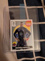 Panini WM 2026 Extra Sticker MOISES CAICEDO Silver