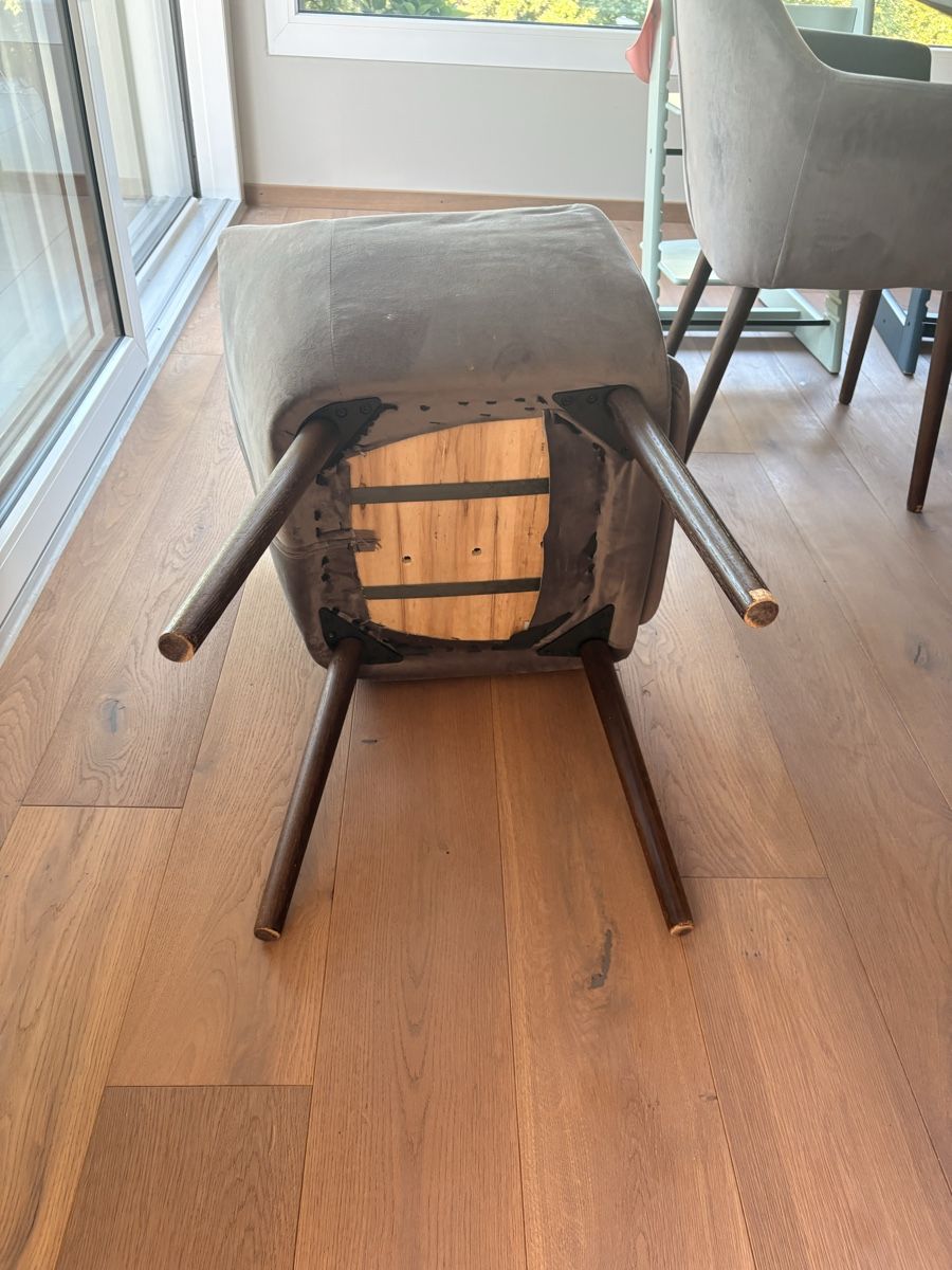 Chaises: Esszimmerstühle  – D'occasion à Zollikon par sarosco 3