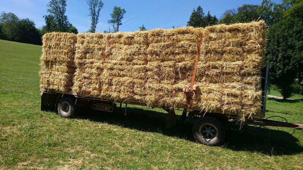 Strohballen Kaufen In Der Nahe