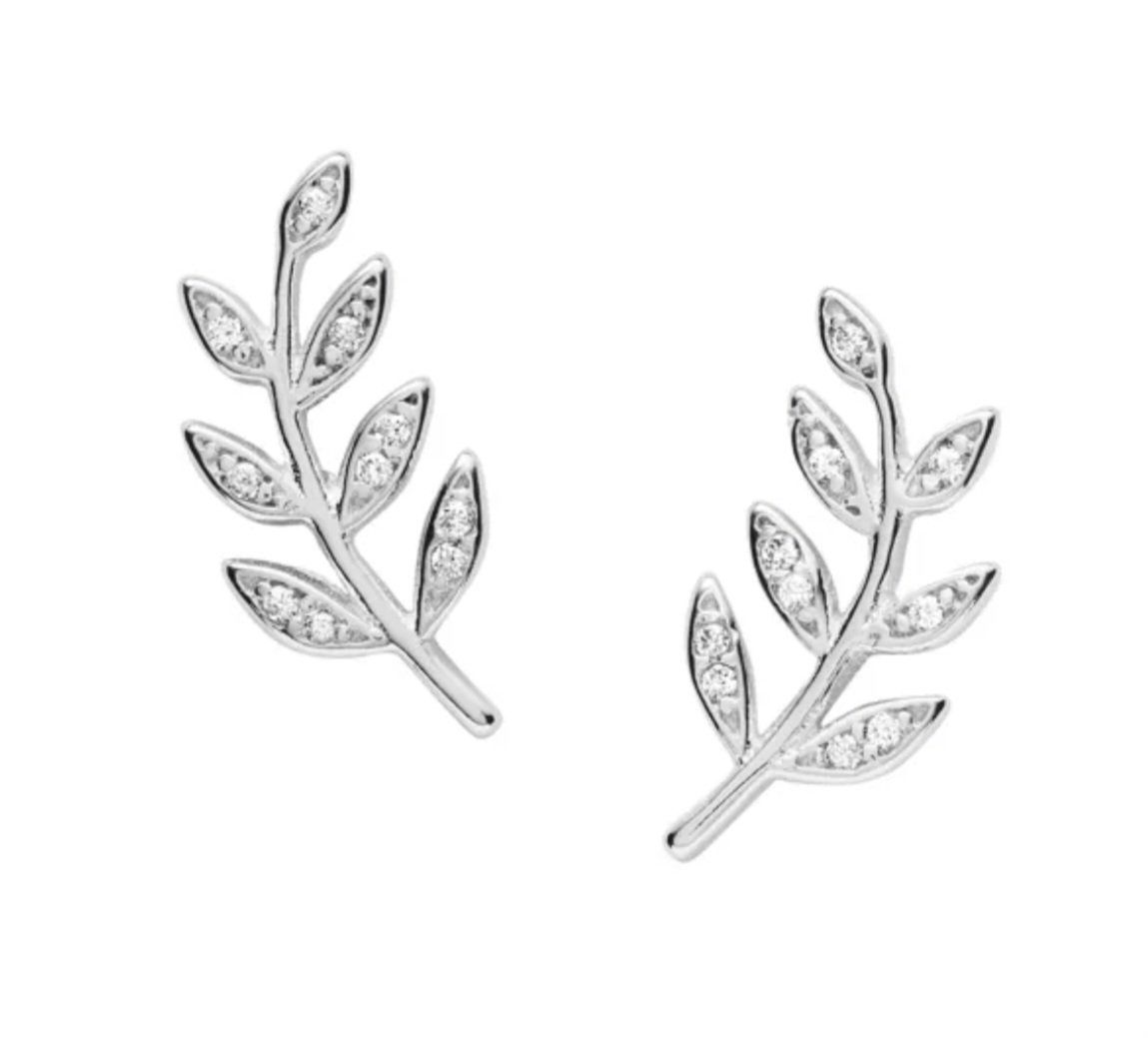 Fossil Orecchini pendenti & Orecchini a lobo: Ohrstecker Fossil Silber – Nuovo e nell'imballaggio originale da Lengwil venduto da Kati431 1