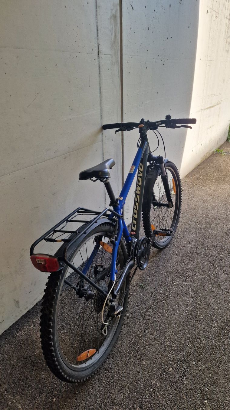 Crosswave Biciclette: Fahrrad Cross Wave S1000 – Usato da AU-ZH venduto da Trinity_W 2