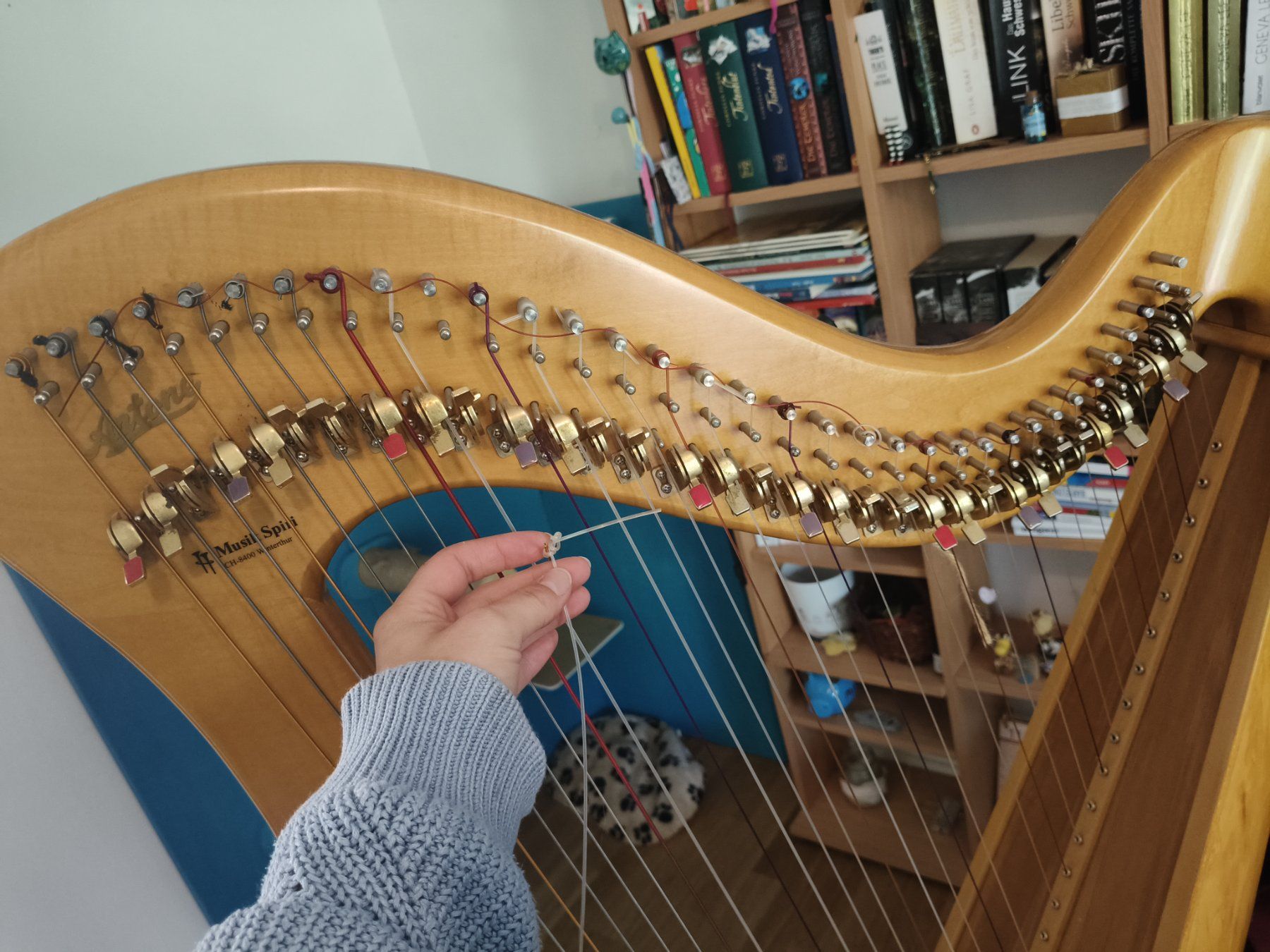 Strumenti musicali: Kinder Harfe – Usato da St.Gallen venduto da car_fps2 4
