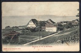 Douanne, Panorama et l'Ile de St-Pierre
