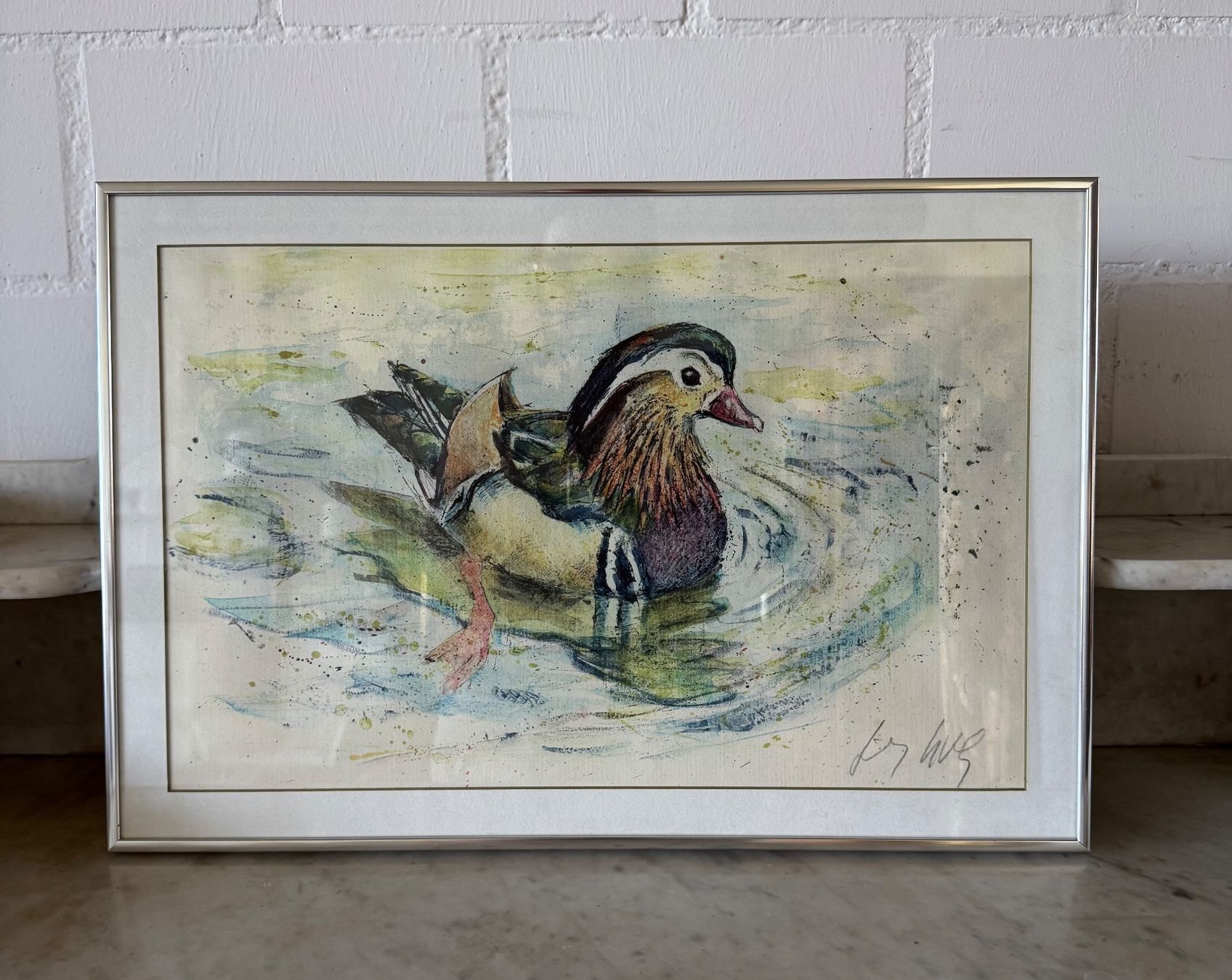 Foto & Immagini: Gerahmtes Bild einer Ente Aquarell Signiert – Usato da Volketswil venduto da CHEF2222