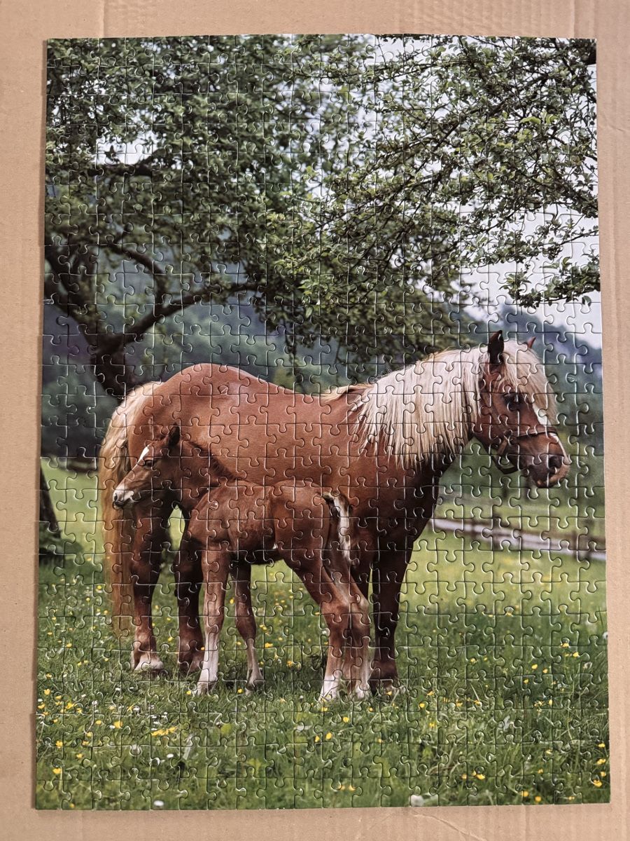 Ravensburger Puzzle: Puzzle 500 Teile – Usato da Stadel venduto da nicibaer08