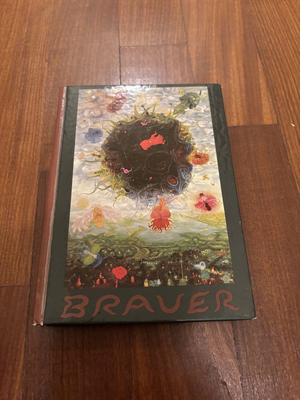 Libri: Brauer – Usato da Lugano venduto da Mark_Young