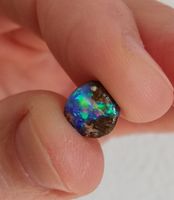 Einzigartiger Australischer Pipe Opal