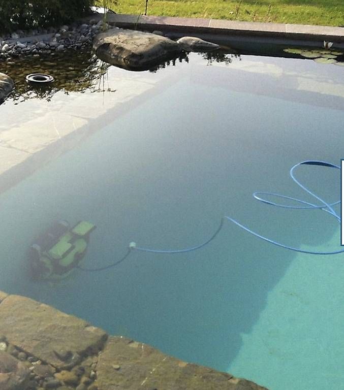 Accessori per Piscine: Pool Roboter Dolphin PoolBot PBio – Usato da Embrach venduto da NWN20 3