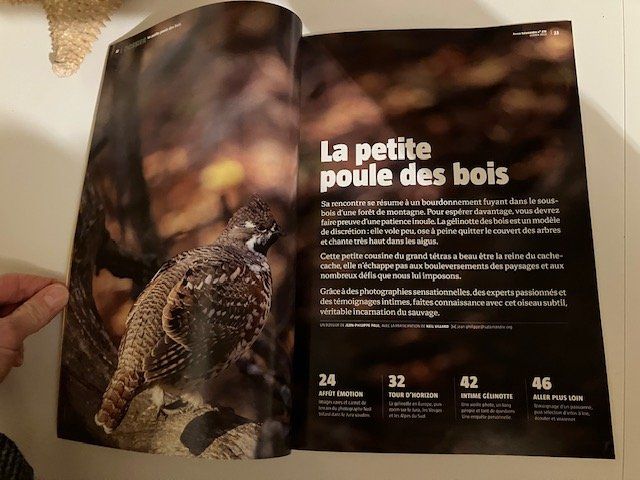 Riviste & Magazine: Revue La Salamandre - la gélinotte – Usato da Les Ponts-de-Martel venduto da Jolisa 1