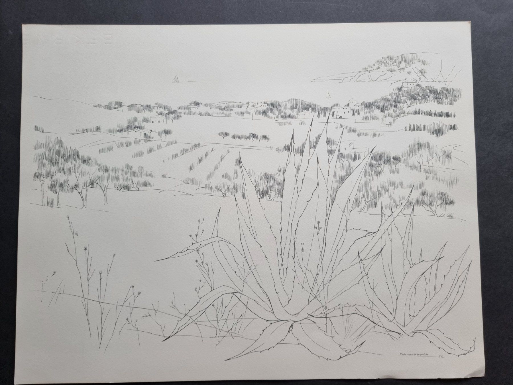Grafica & Litografie: PLA NARBONA LITHOGRAPHIE SIGNIERT DATIERT – Usato da Gersau venduto da kunst-online