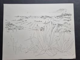 PLA NARBONA LITHOGRAPHIE SIGNIERT DATIERT