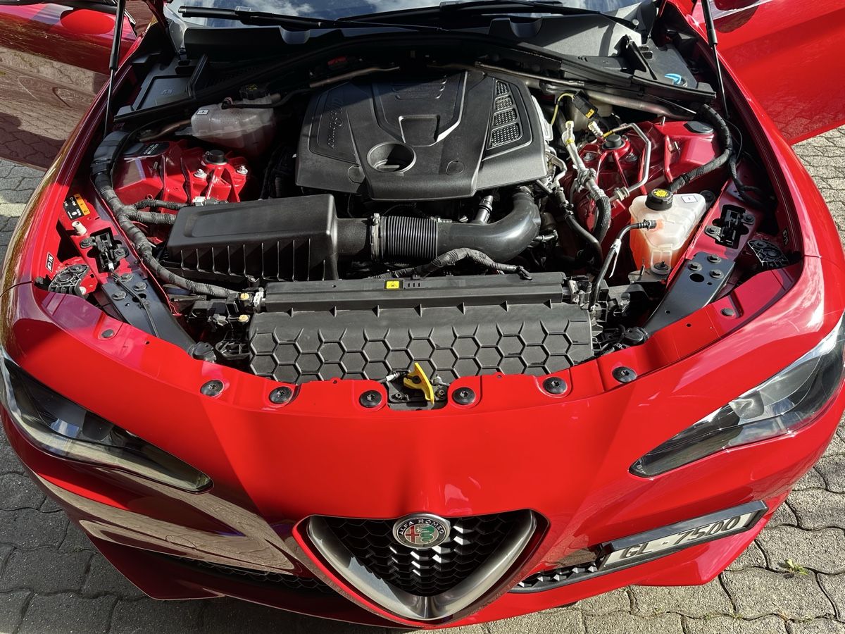 Alfa Romeo Autos: Alfa Romeo Giulia 2.0  – Gebraucht aus netstal von arthur6136 1