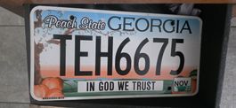 Plaque d'immatriculation USA GEORGIA TEH6675 occasion