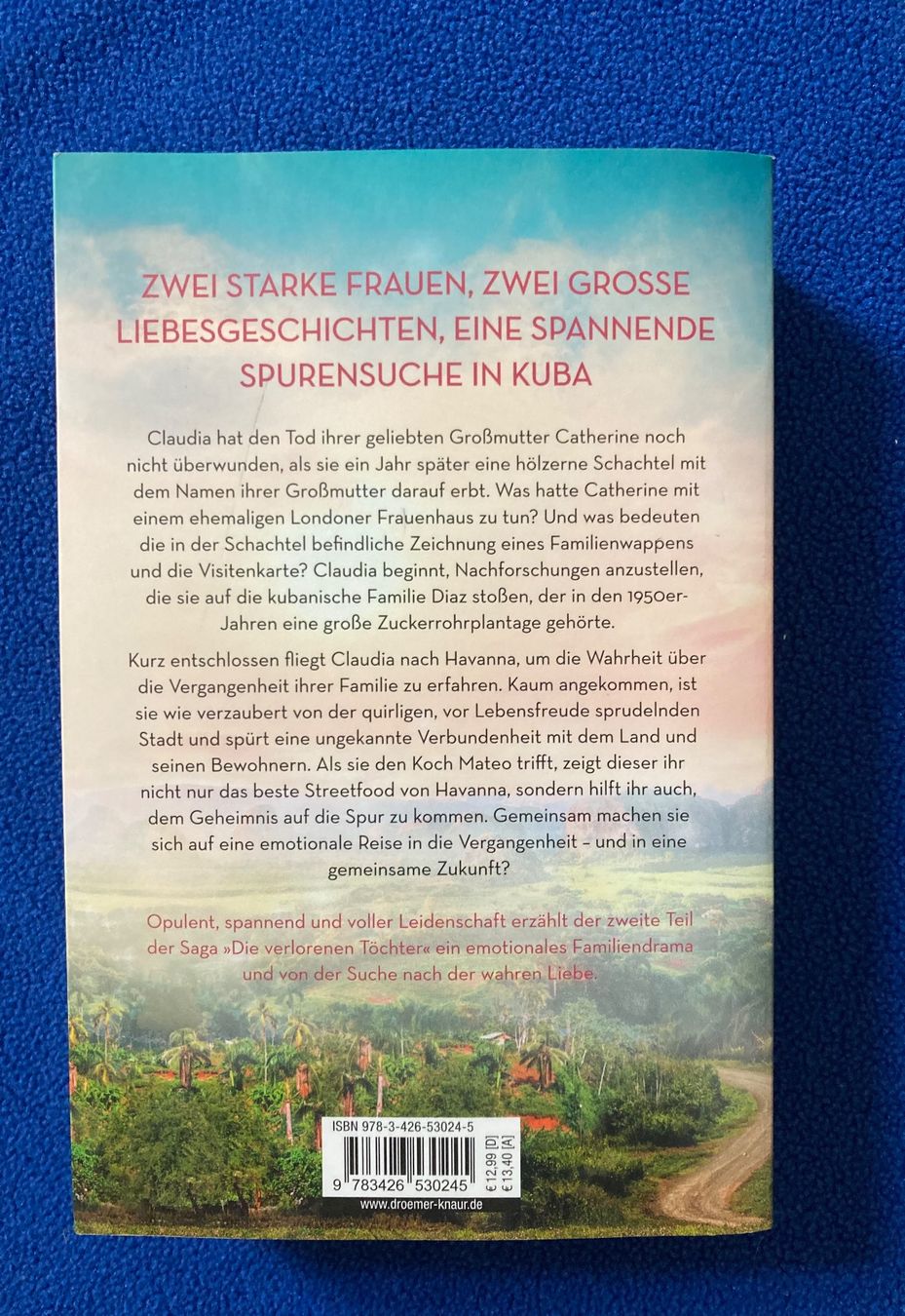 Libri: Soraya Lane  / Die vermisste Tochter – Usato da Hurden venduto da Ruby70 1