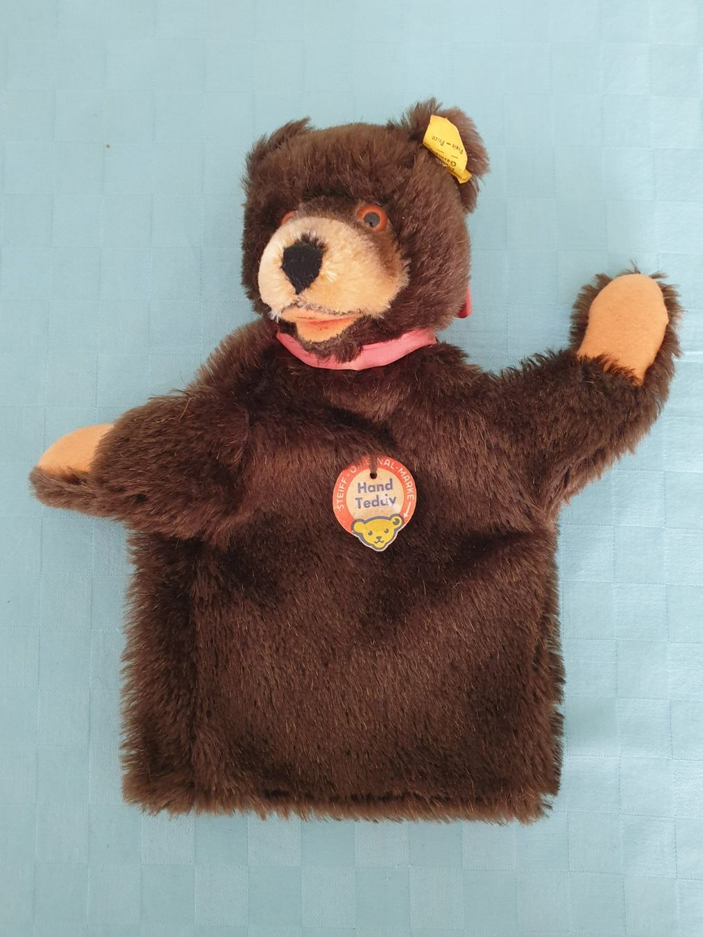 Statuette: Bär Handpuppe STEIFF – Usato da Mörschwil venduto da spirspi