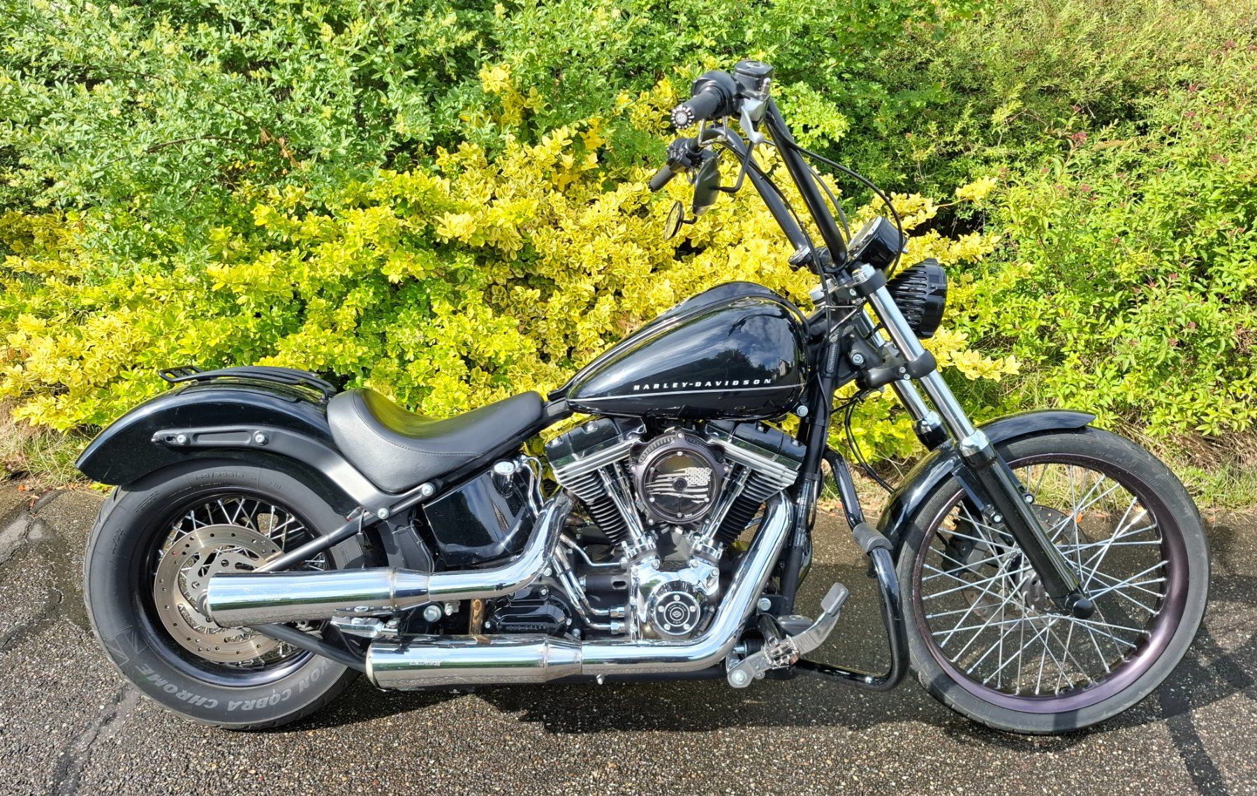 Harley-Davidson Chopper: HARLEY DAVIDSON SOFT TAIL BLACKLINE 1585 – Usato da Reinach BL venduto da vwbora75