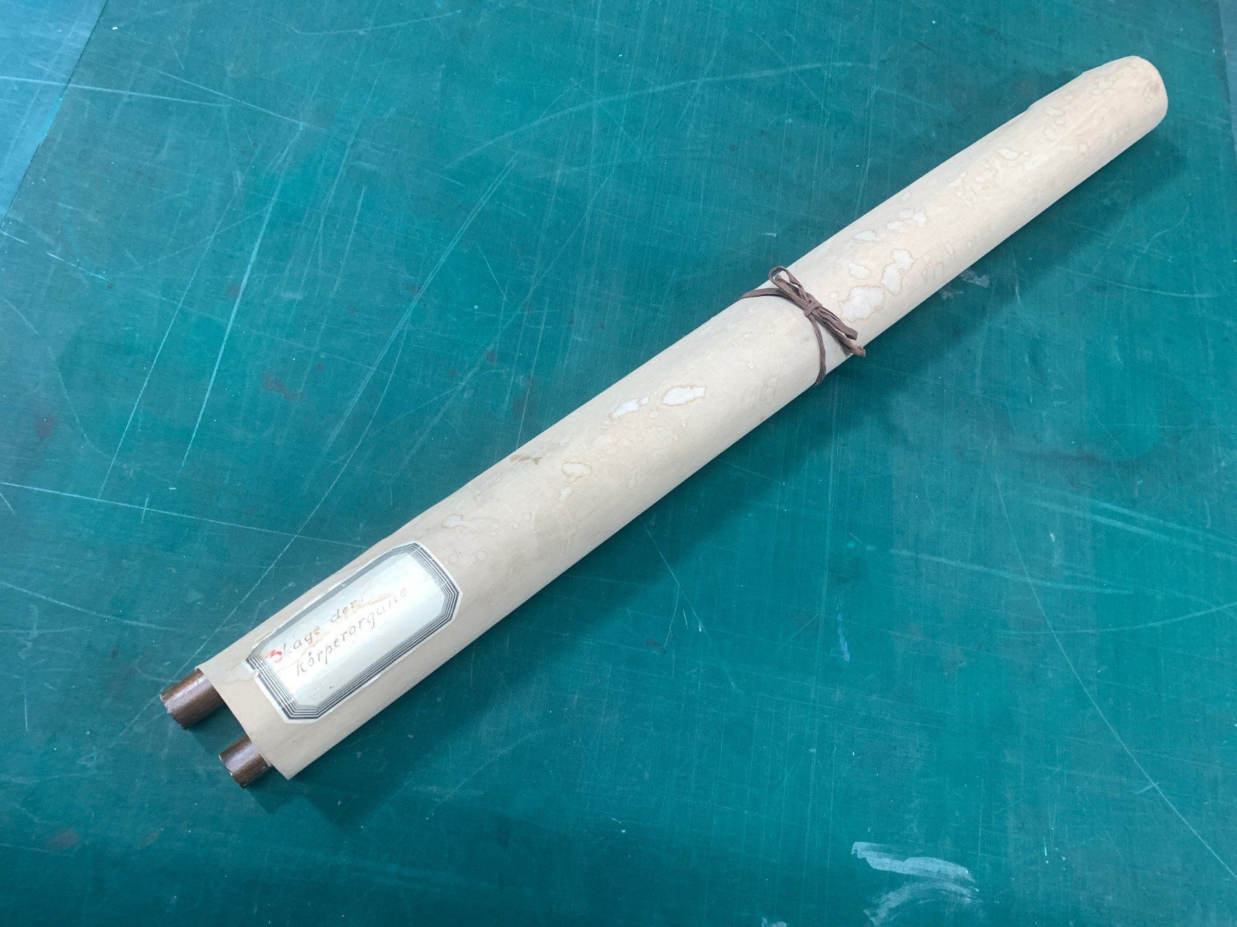 Foto & Immagini: Anatomisches Tabellenwerk Organe – Usato da Ottikon venduto da Hogdog 8