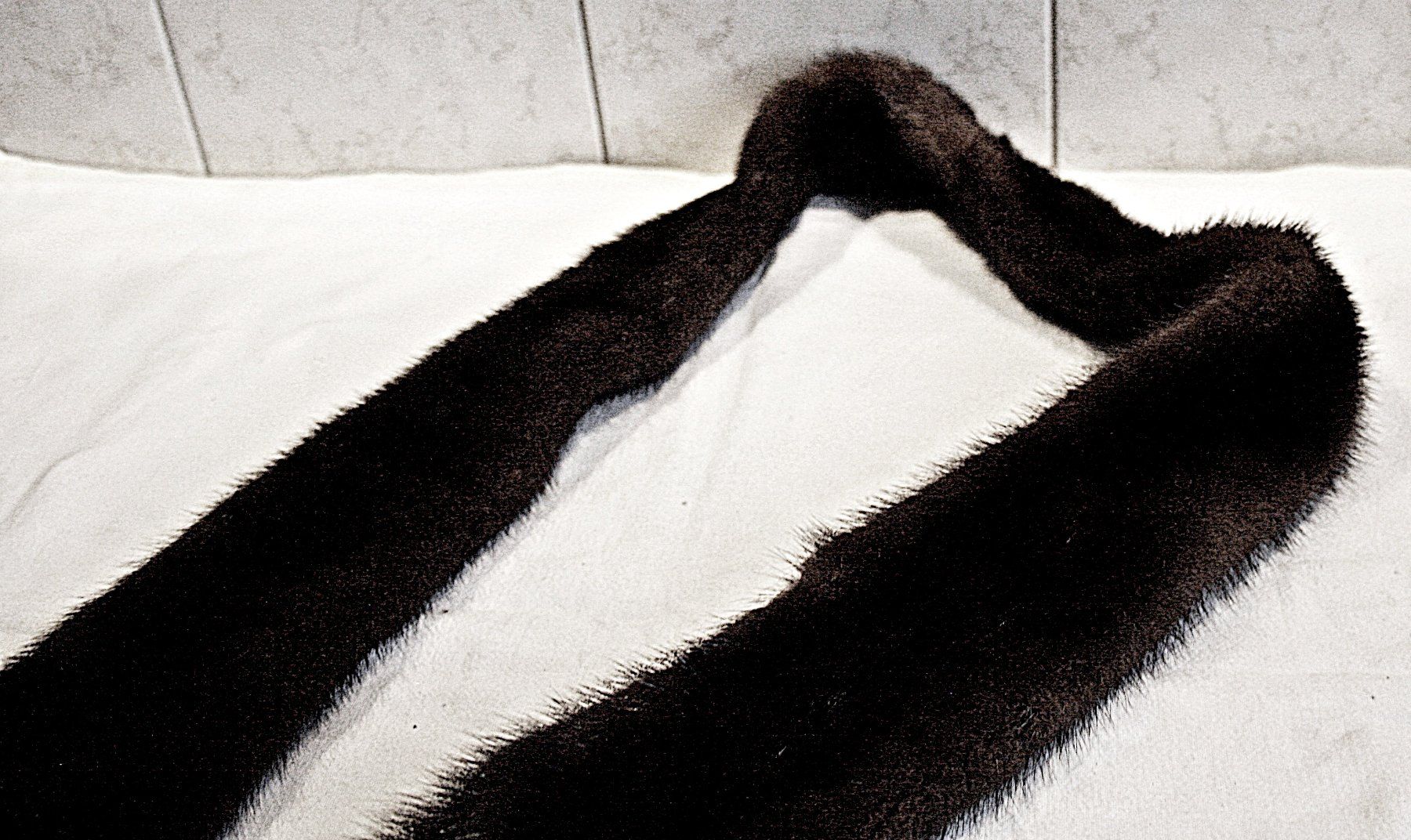 Foulard & Sciarpe: Pelz Schal (Nerz) – Usato da Baar venduto da 2cvbaar 3