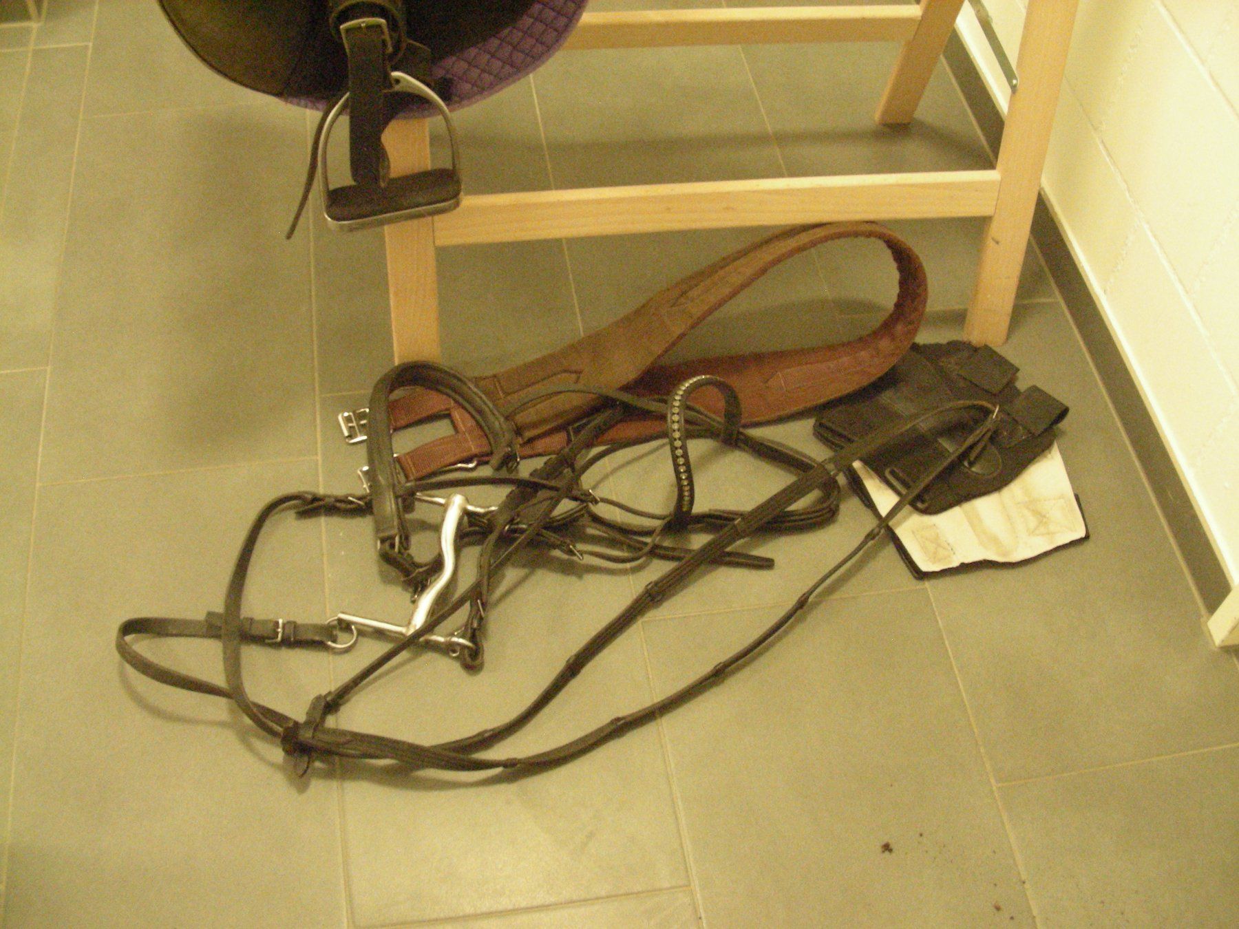 Selle & Accessori: Reitsattel, Pferdesattel – Usato da Oberdorf BL venduto da schnae09 6