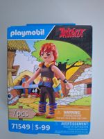 Playmobil Asterix  Nr. 71549