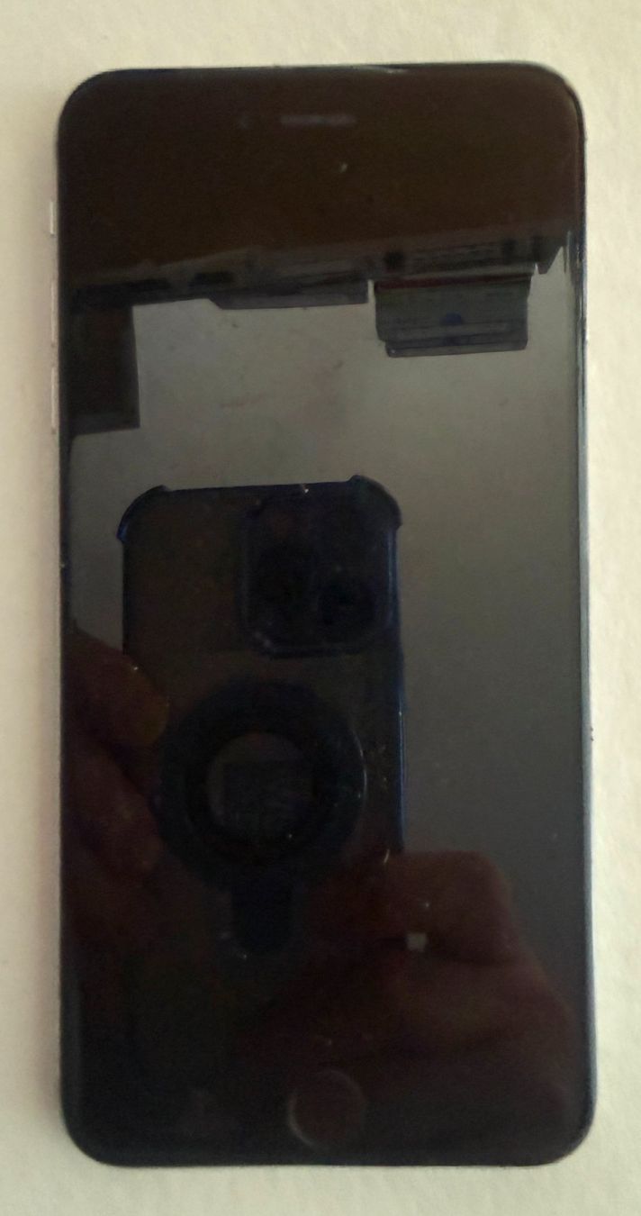 Apple Telefoni cellulari / Smartphones: Apple iPhone 6S Plus Display – Usato da Lodrino venduto da Stema 2
