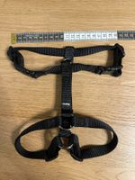 Bitsdog Hunde Geschirr +Leine, Schwarz