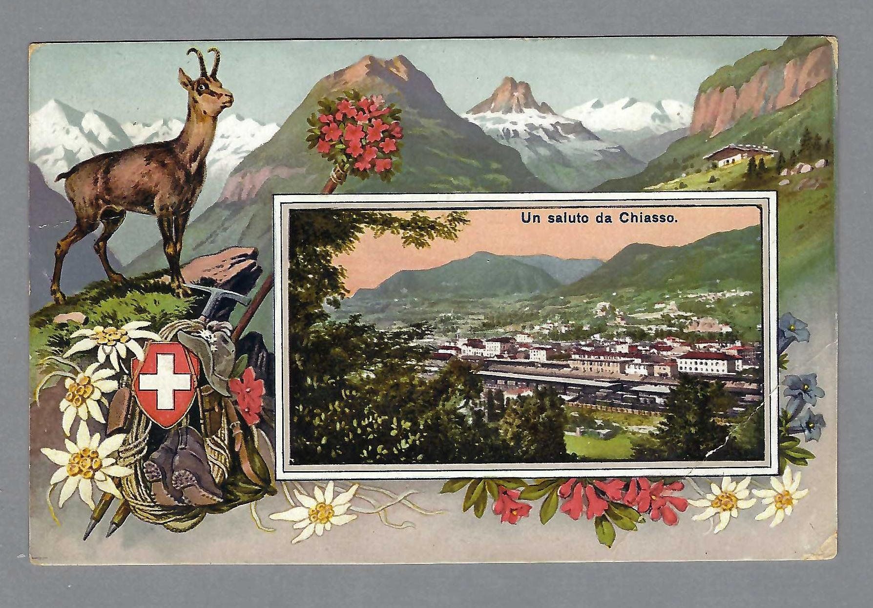 Cartes postales: CHIASSO, CAMOSCIO/STEINBOCK, CIRCOLATA – D'occasion à Pura par ulisse1957