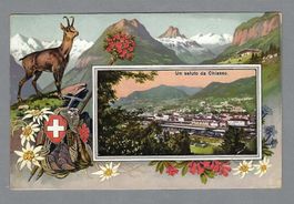 CHIASSO, CAMOSCIO/STEINBOCK, CIRCOLATA