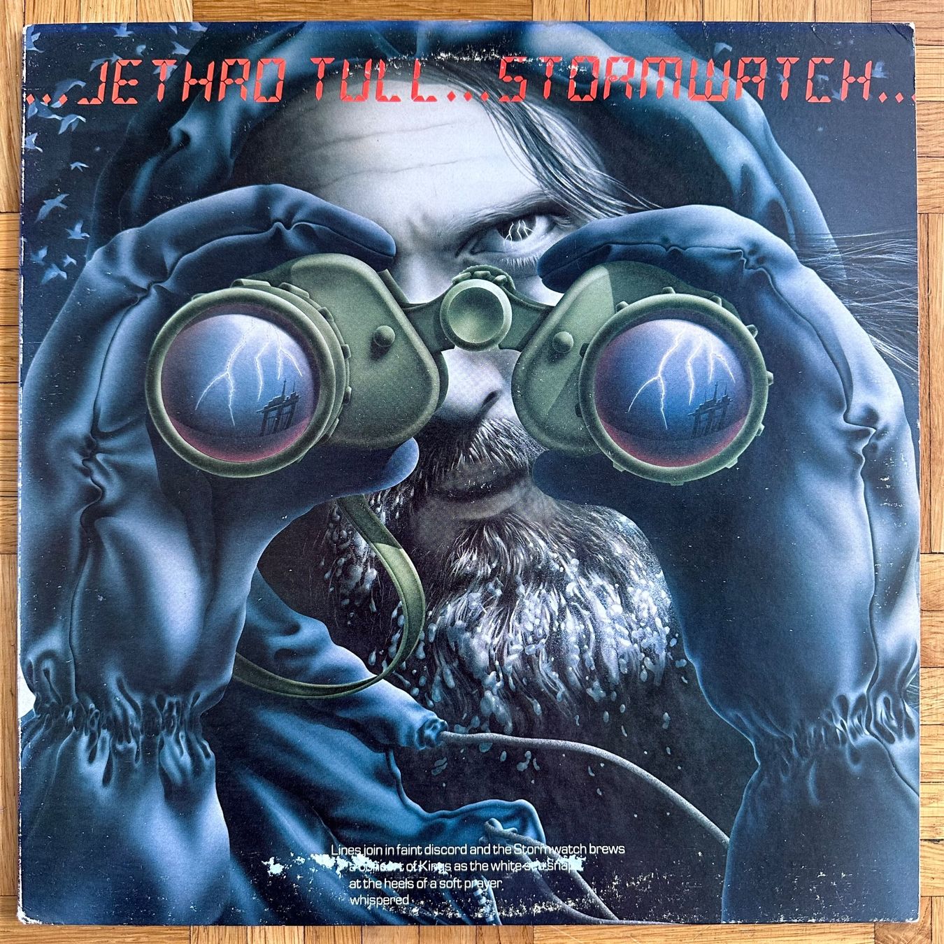 Dischi in vinile: LP - Jethro Tull - Stormwatch – Usato da Breganzona venduto da Onairda75