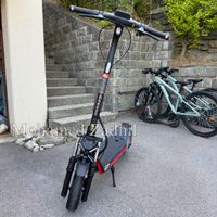 E Scooter (Segway-Ninebot ZT3 Pro D)