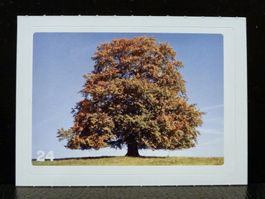 MIGROS MANIA Nature Detectives Nr. 24