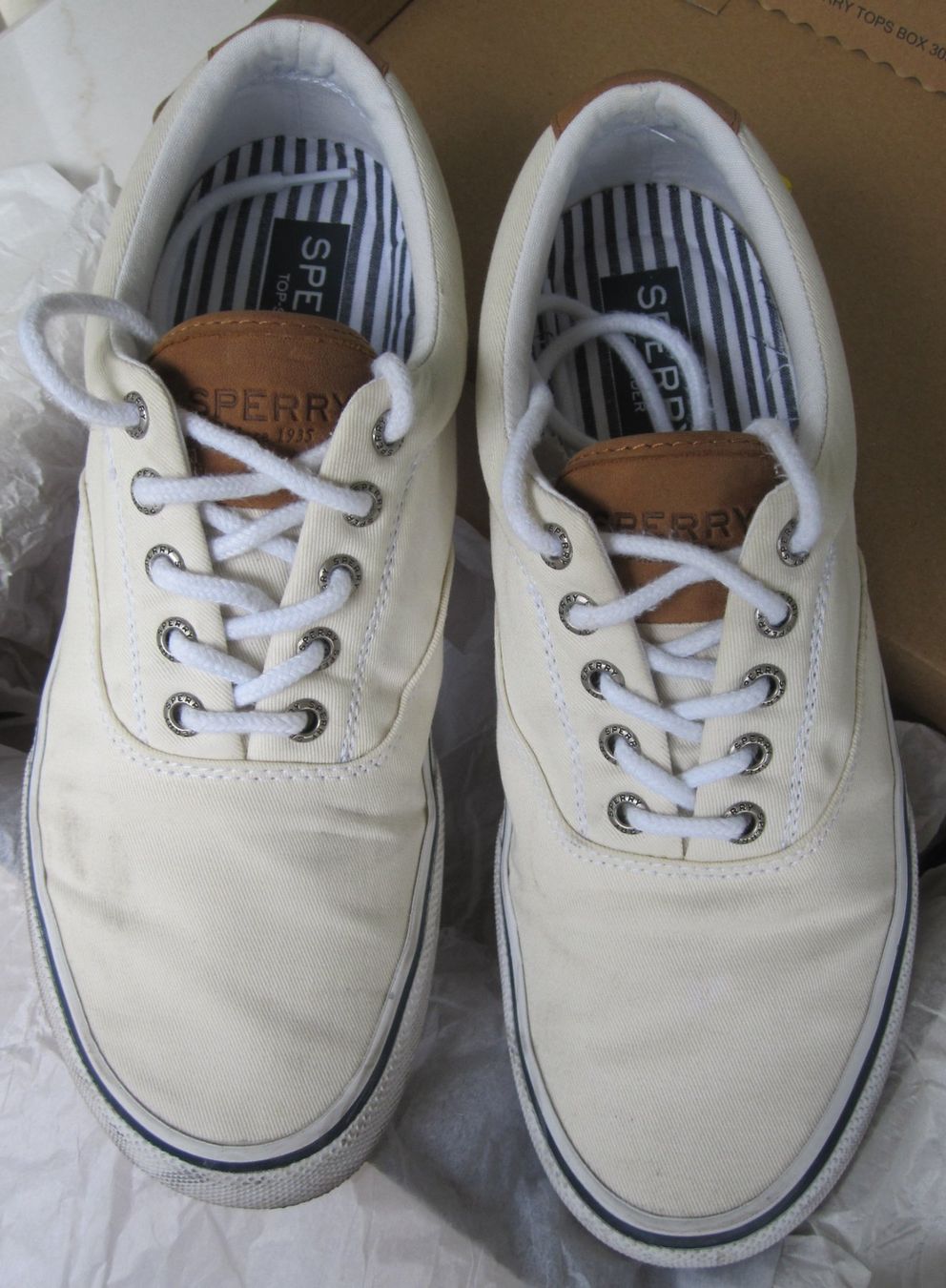 Scarpe da uomo: Sneakers SPERRY Striper II CVO White – Usato da Nyon venduto da WHTF