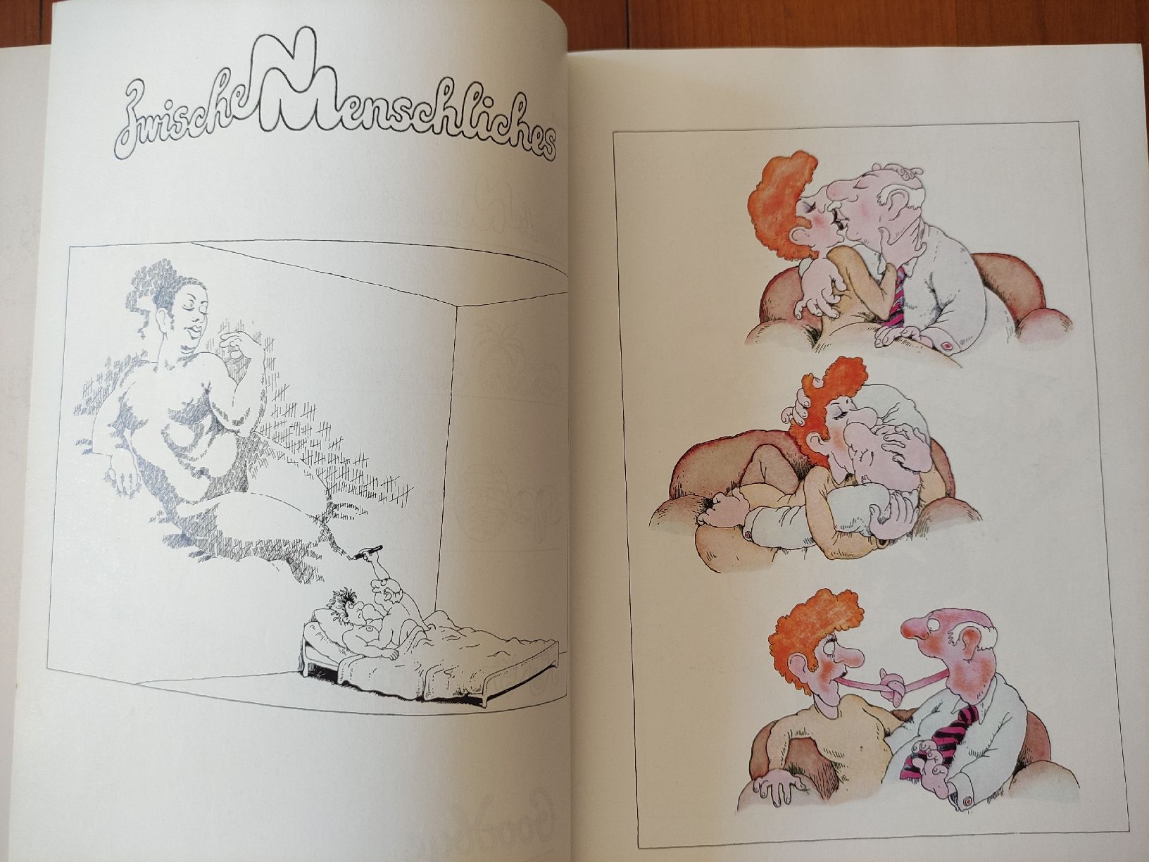 Comics: Werner Nydegger, Nett, Sie zu sehen, Karikaturen – Gebraucht aus St. Gallen von Pintador 2