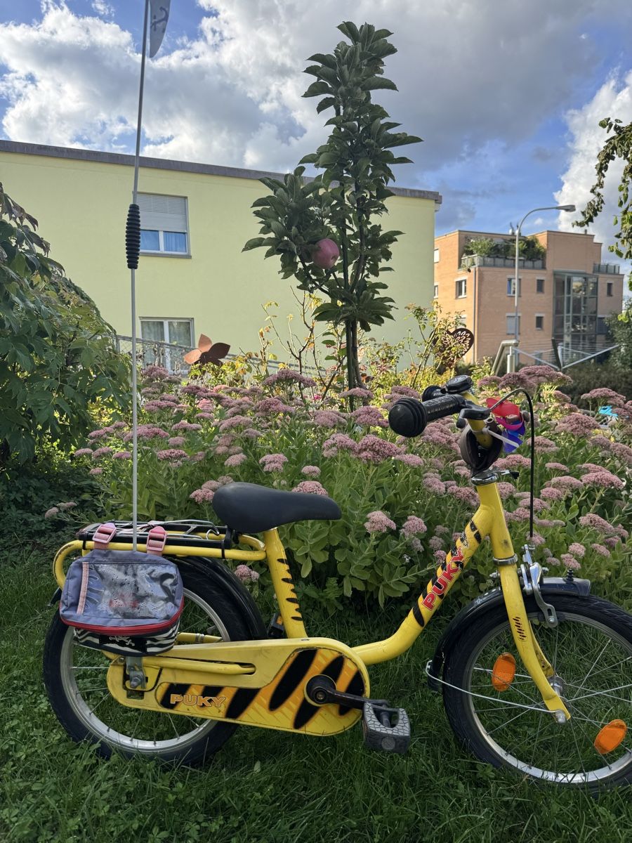 Puky Biciclette: Puky 16 Zoll – Usato da Regensdorf venduto da Kaffeekanne2106