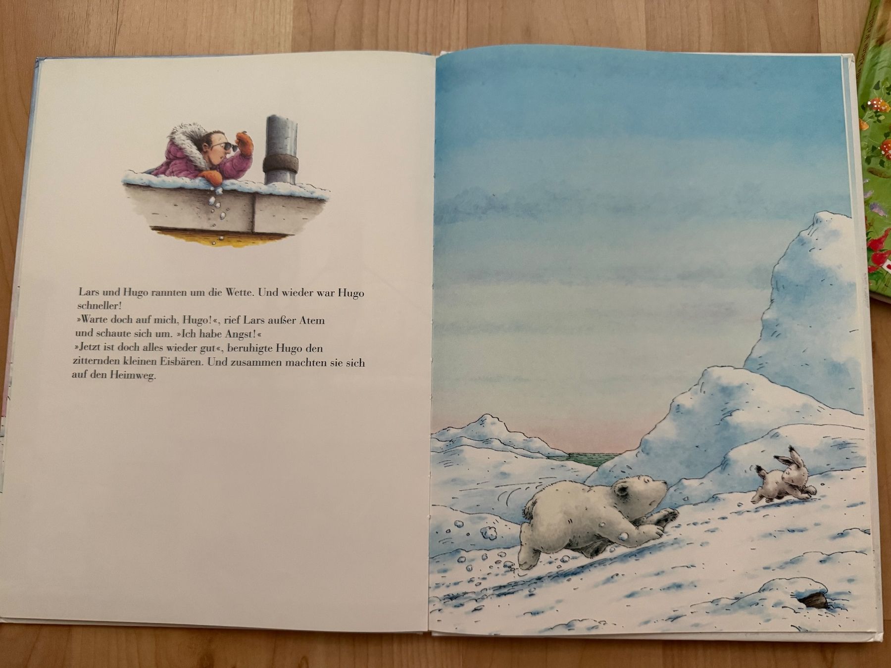 Libri: Der kleine Eisbär und der Angsthase Bilderbuch – Usato da Pfäffikon SZ venduto da Syndrome379 2