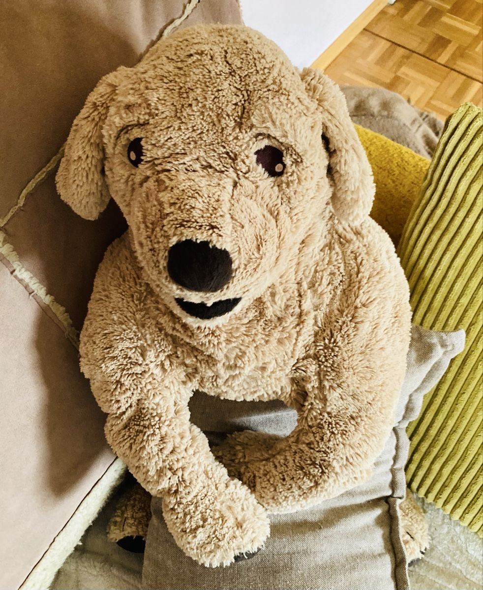 Ikea Giocattoli: Grande peluche chien tout doux – Nuovo (secondo la descrizione) da Ardon venduto da hel_2sxp 4