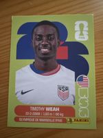 Panini FWC 2026 USA12