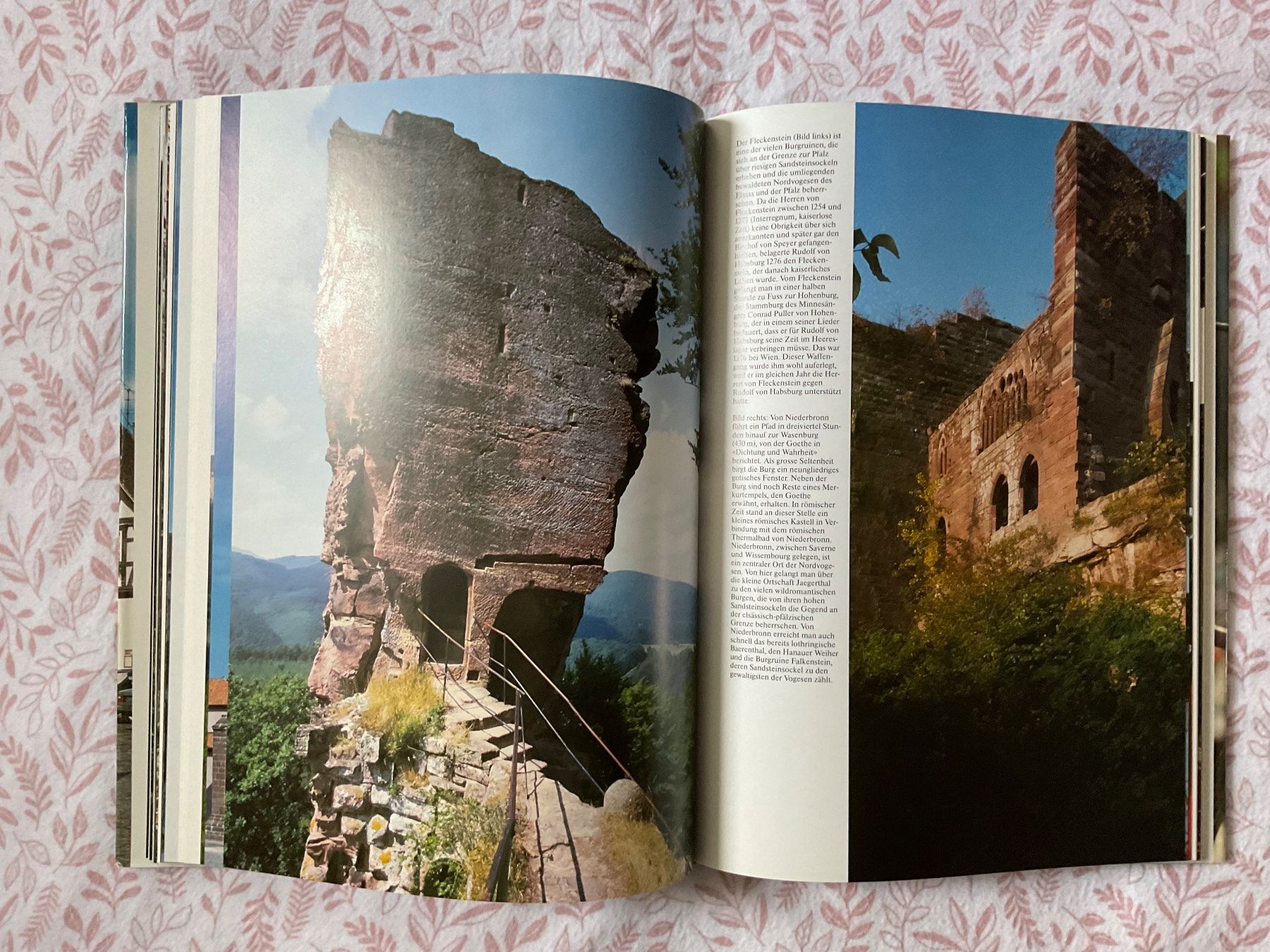 Bücher: , Silva Buch; Elsass – Gebraucht aus Zürich von tol_b7c7 3