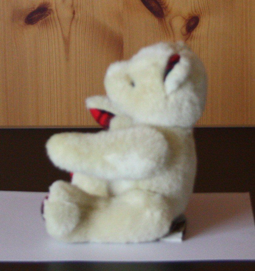 Giocattoli: Teddybär Bär  Gliedmassen beweglich – Usato da Flüelen venduto da Diversicum-Shop 3