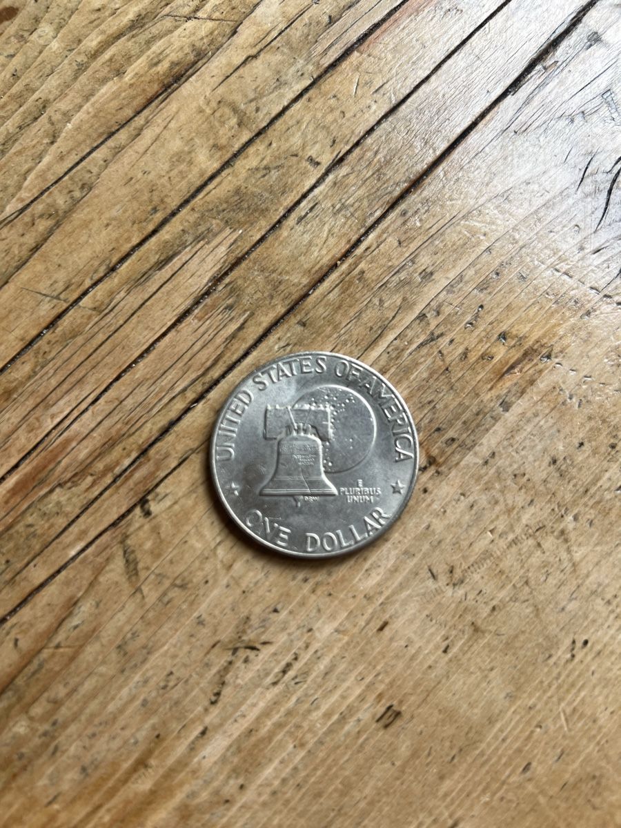 Tutti le monete: Alte Münze one Dollar – Usato da Hittnau venduto da BrigitteM8335 1