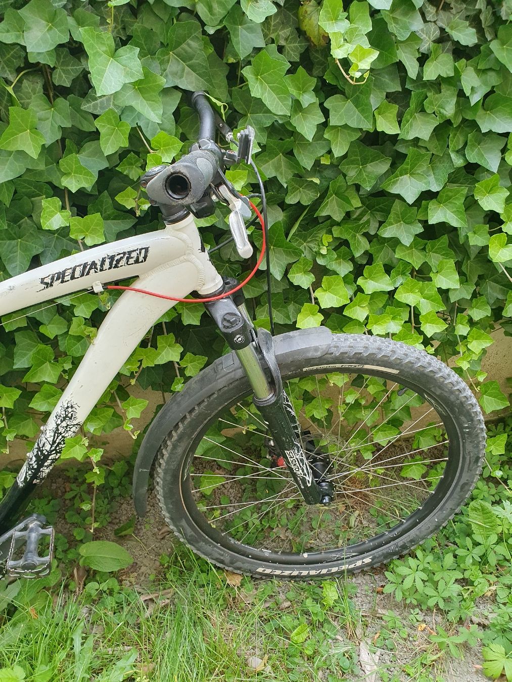 Specialized Biciclette: Specialized Hardtail MTB mit neuen Teilen – Difettoso da Glis venduto da Shortbread_ 2